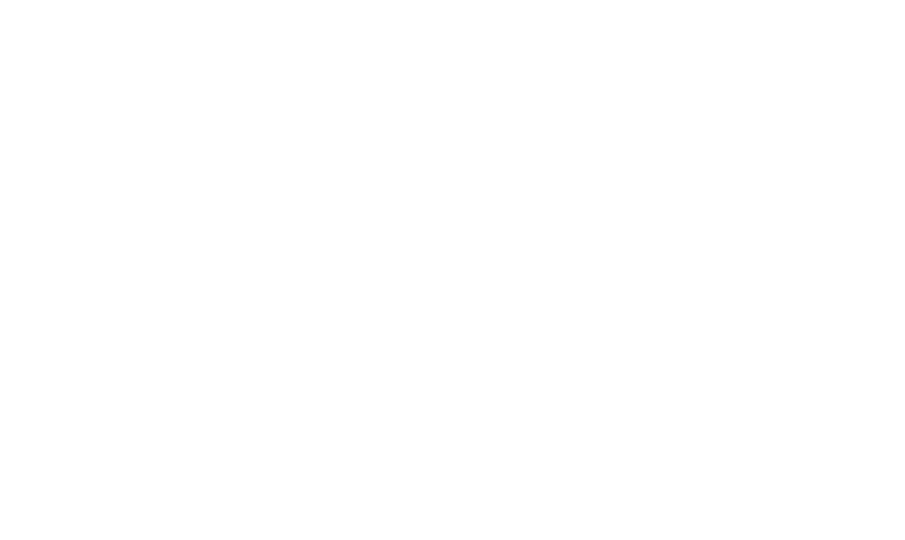 An outline of a card with the Zorts Logo in the center